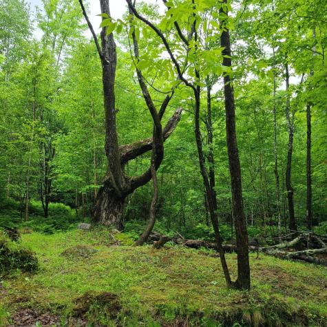 L 11-1 Cornforth Road Industry ME 04938