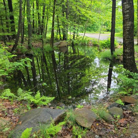 L 11-1 Cornforth Road Industry ME 04938