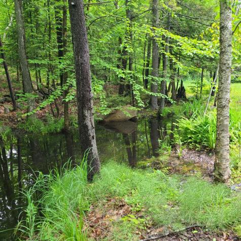 L 11-1 Cornforth Road Industry ME 04938