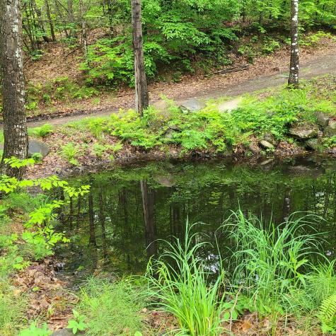 L 11-1 Cornforth Road Industry ME 04938