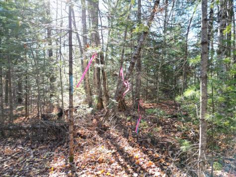 Lot 9a James Way Lincoln ME 04457