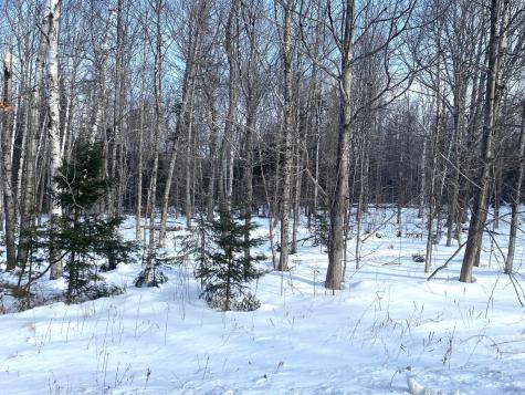 47 Greenville Road Shirley ME 04485