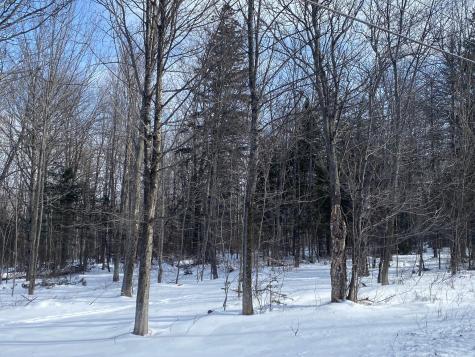 47 Greenville Road Shirley ME 04485
