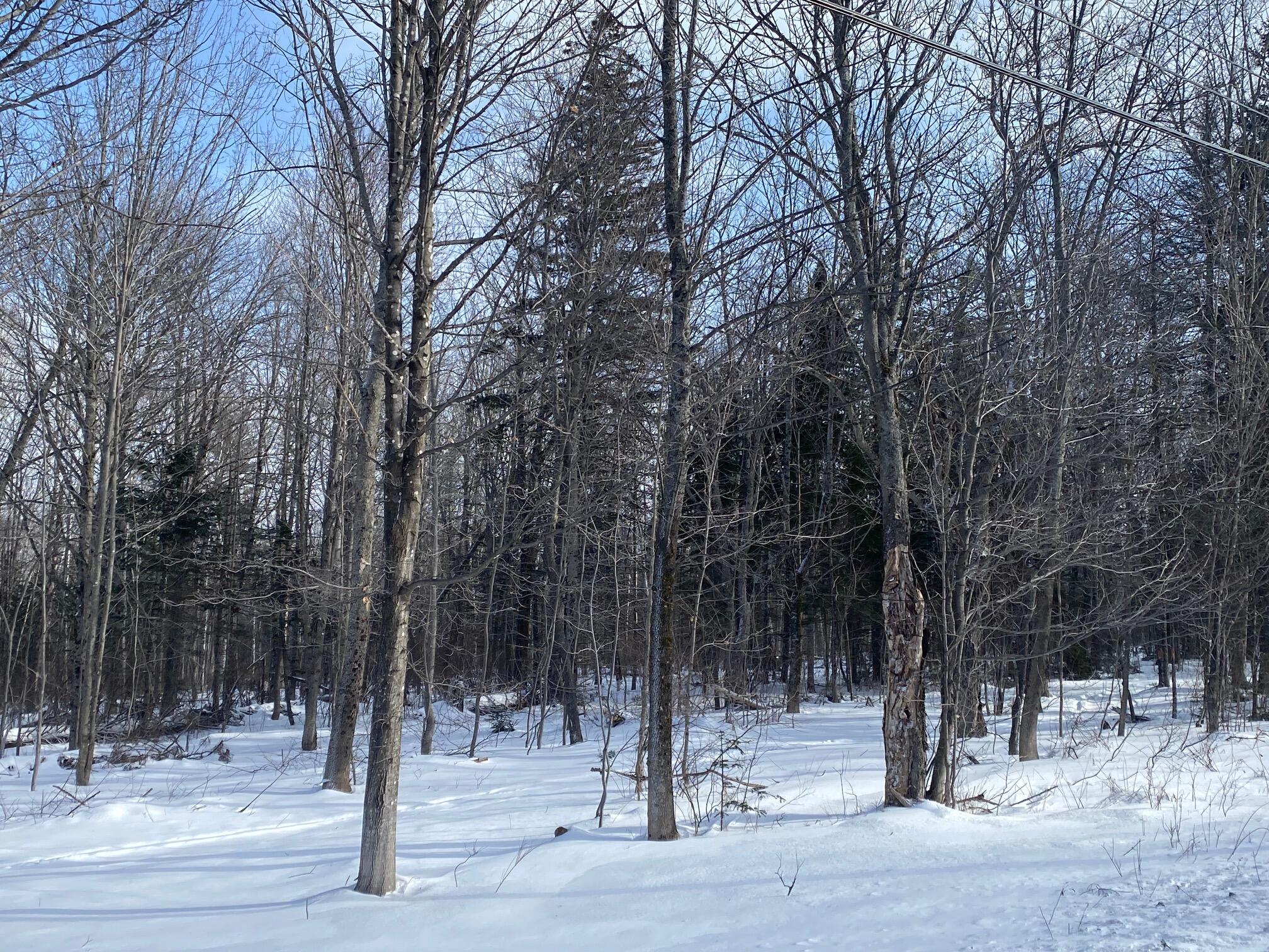 47 Greenville Road Shirley ME 04485