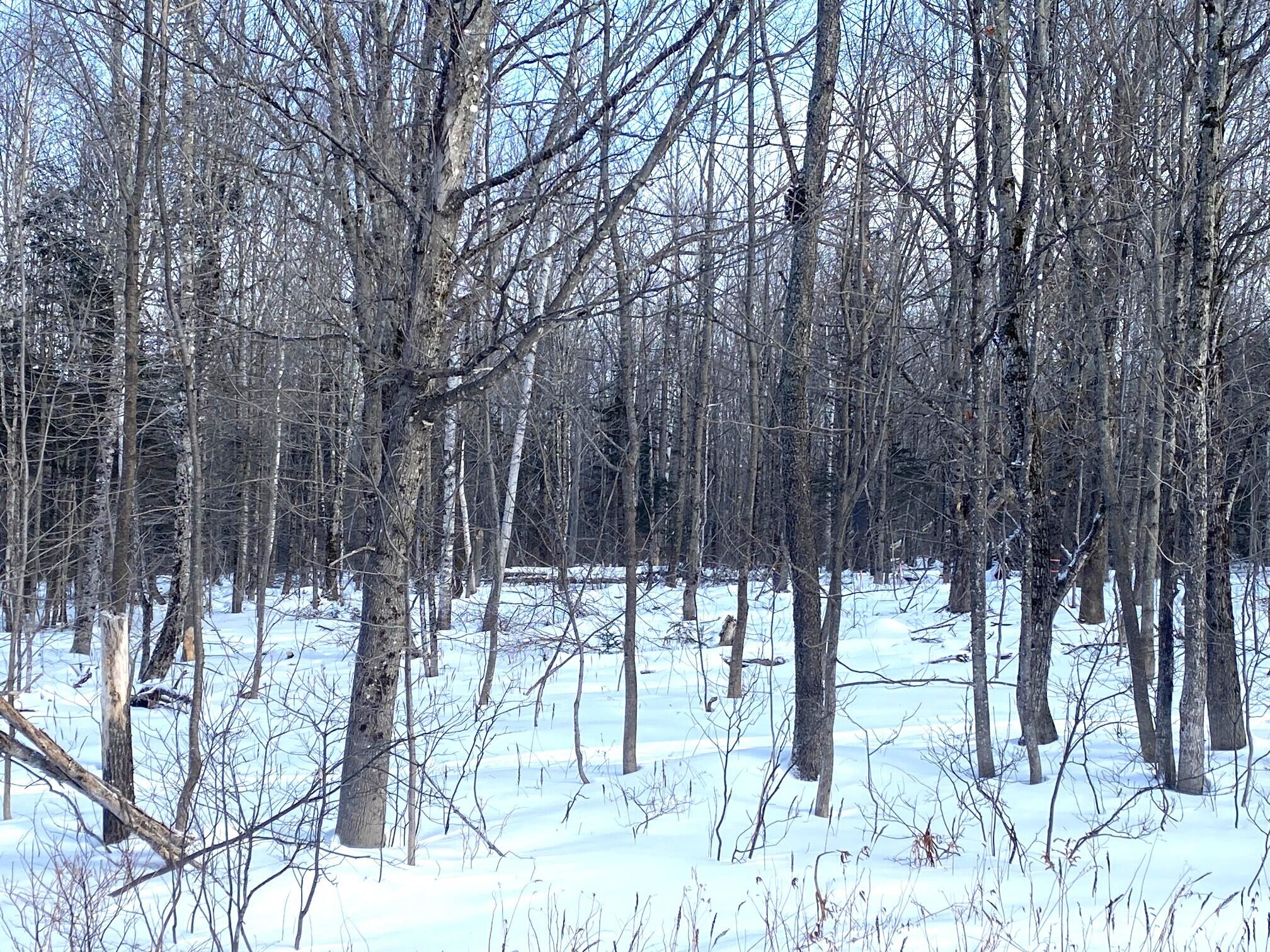 47 Greenville Road Shirley ME 04485