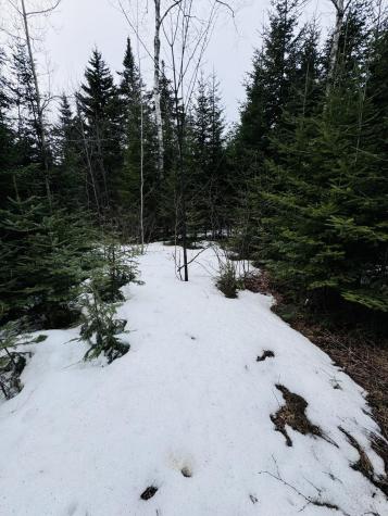 Lot 11 Errol Haley Way Rangeley Plt ME 04970