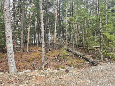 Lot C Deer Point Road Robbinston ME 04671
