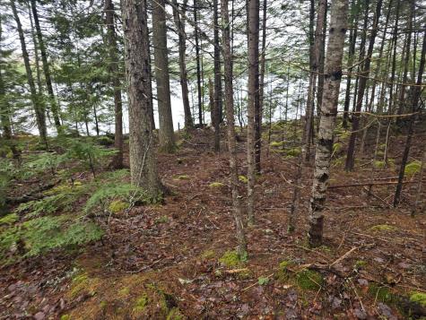 Lot C Deer Point Road Robbinston ME 04671