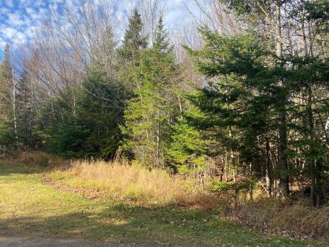 Lot 16 Bear Track Lane Tomhegan Twp ME 04478