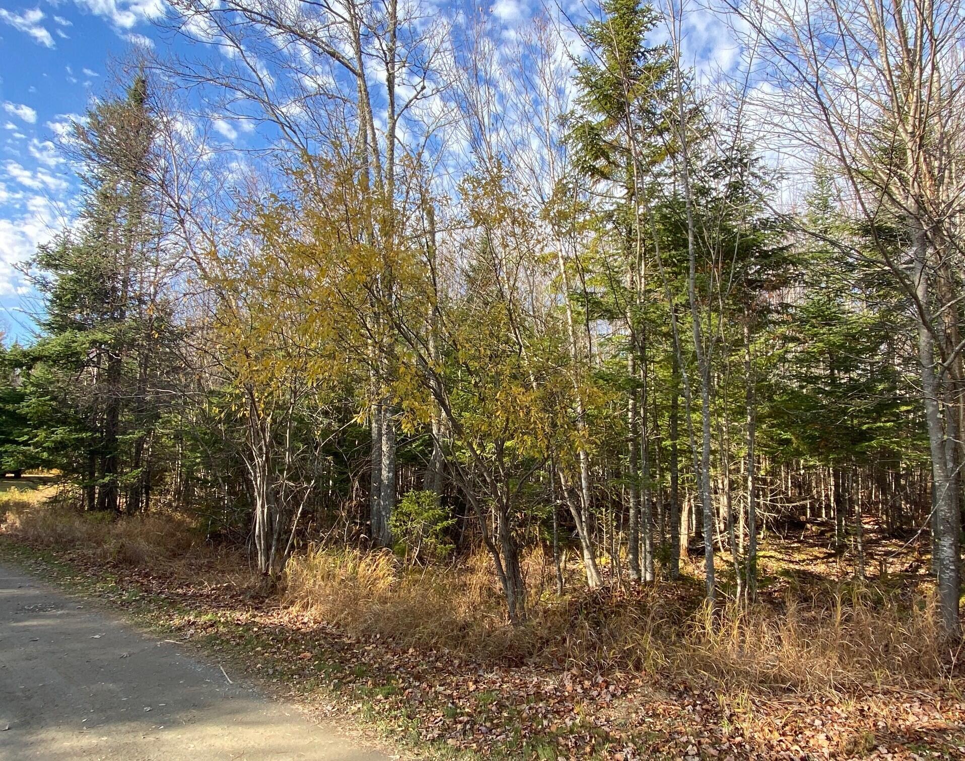 Lot 16 Bear Track Lane Tomhegan Twp ME 04478