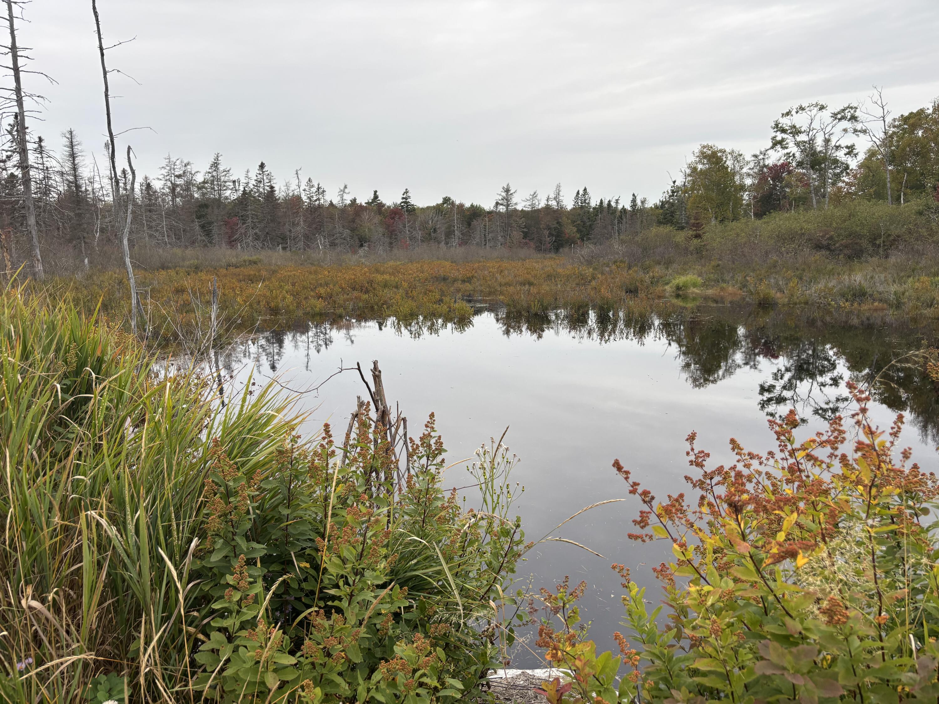 M17L21 Basin Road Addison ME 04606