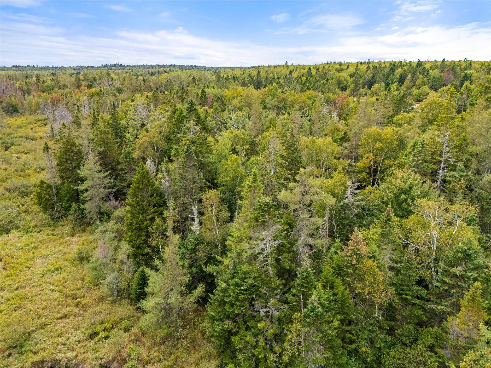 M17L21 Basin Road Addison ME 04606