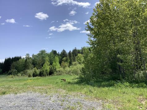 0 Rene Vaillancourt Home Farm Cyr Plt ME 04785
