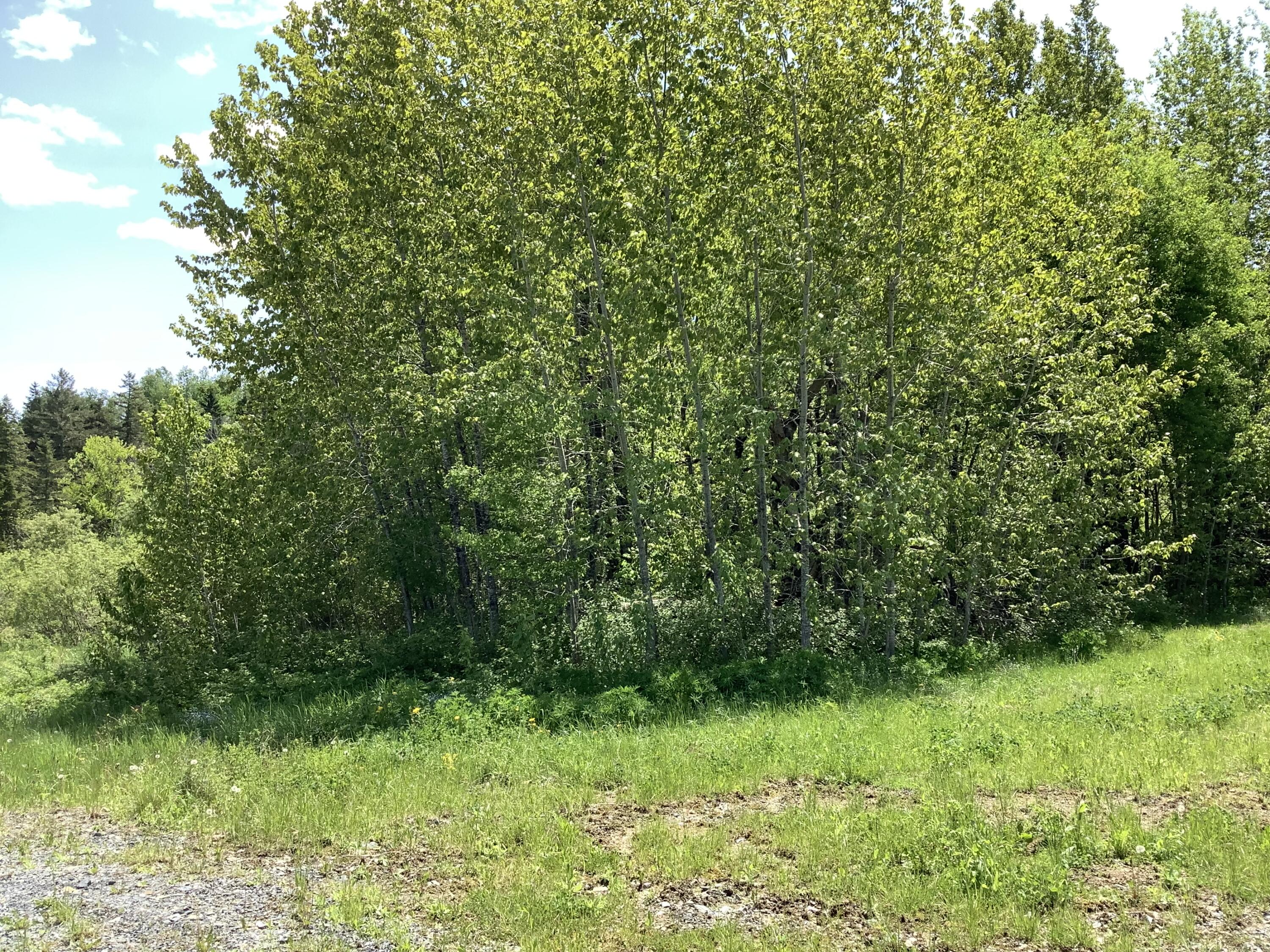 0 Rene Vaillancourt Home Farm Cyr Plt ME 04785
