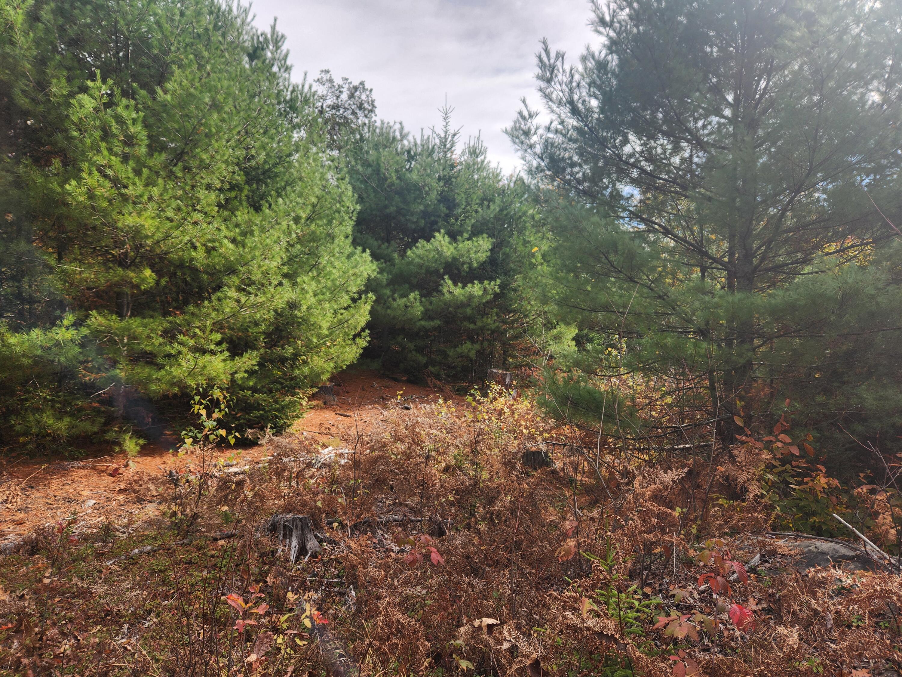 Lot A Blackberry Lane Buckfield ME 04220