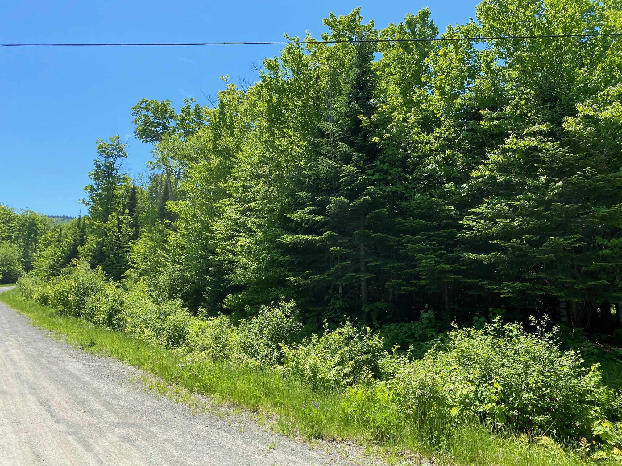 12A 1 Bay View Drive Greenville ME 04441