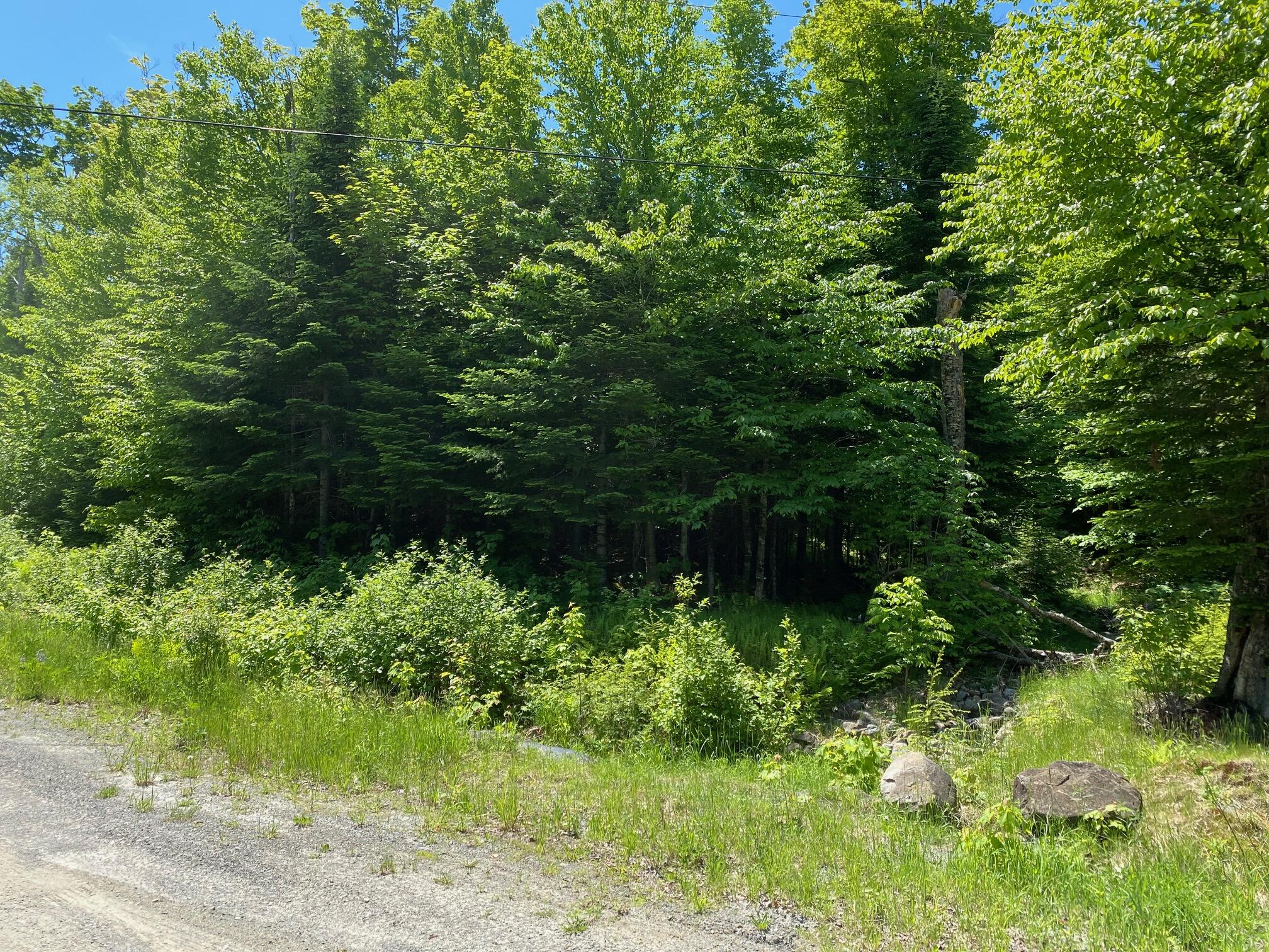 12A 1 Bay View Drive Greenville ME 04441