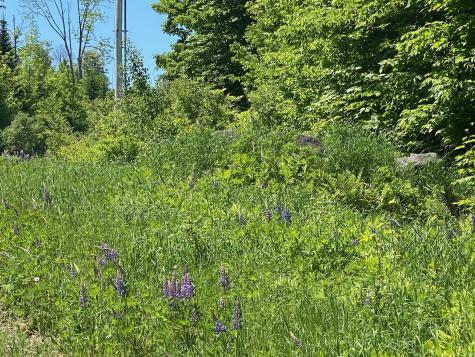 12A 1 Bay View Drive Greenville ME 04441