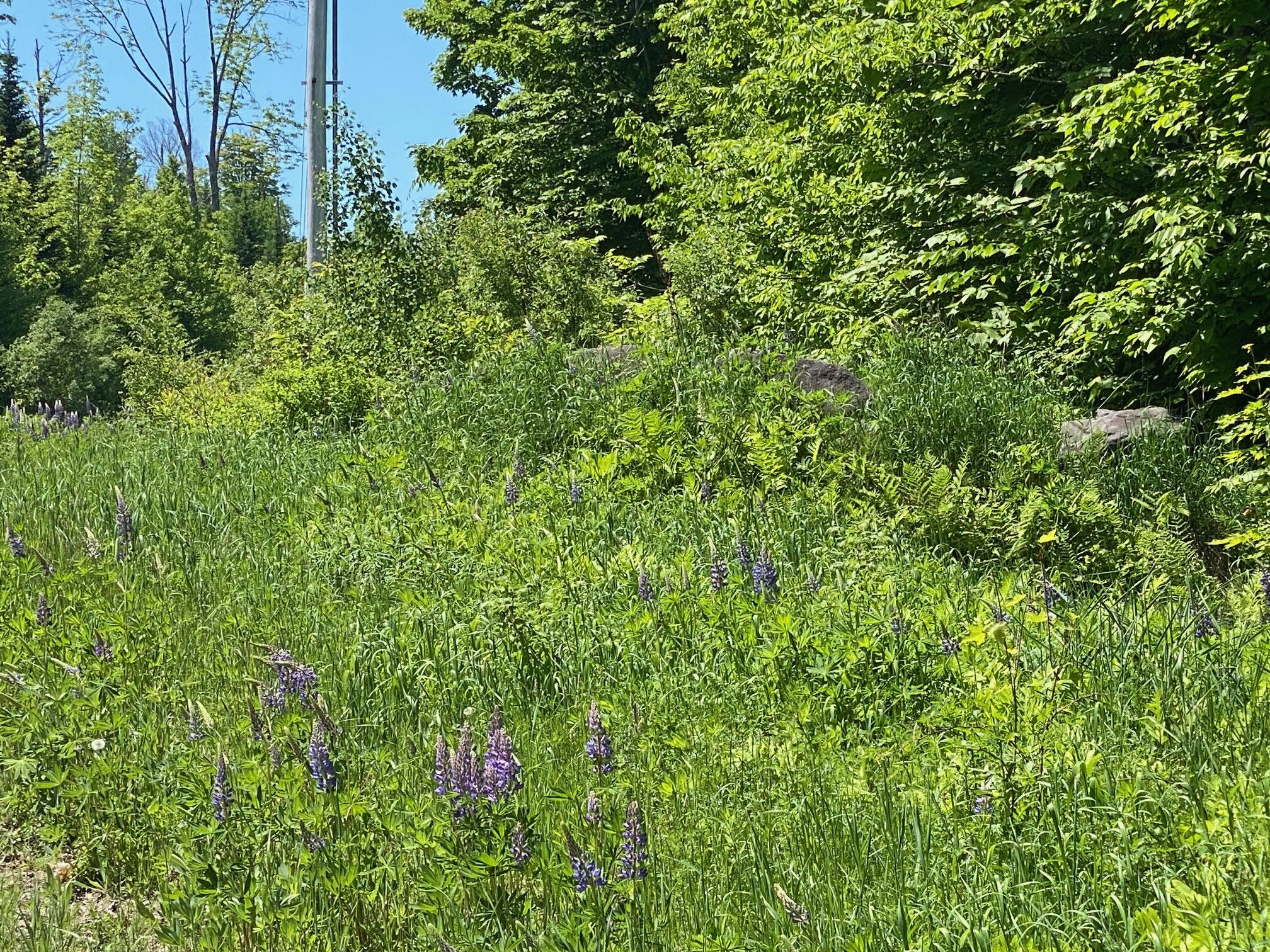 12A 1 Bay View Drive Greenville ME 04441