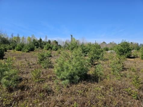 0 Georges Pond Road Franklin ME 04634