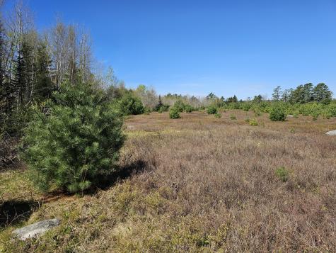0 Georges Pond Road Franklin ME 04634
