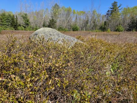 0 Georges Pond Road Franklin ME 04634