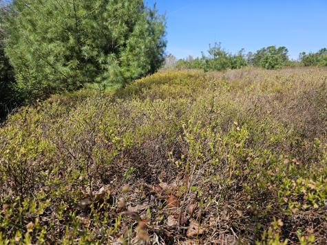 0 Georges Pond Road Franklin ME 04634