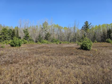 0 Georges Pond Road Franklin ME 04634