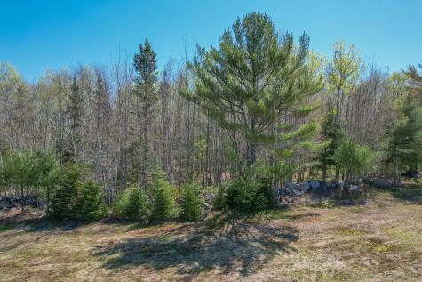 0 Georges Pond Road Franklin ME 04634