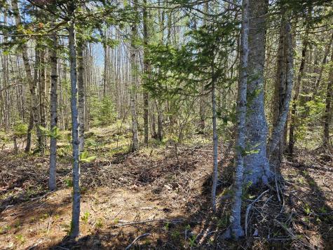 0 Georges Pond Road Franklin ME 04634