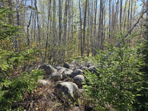 0 Georges Pond Road Franklin ME 04634