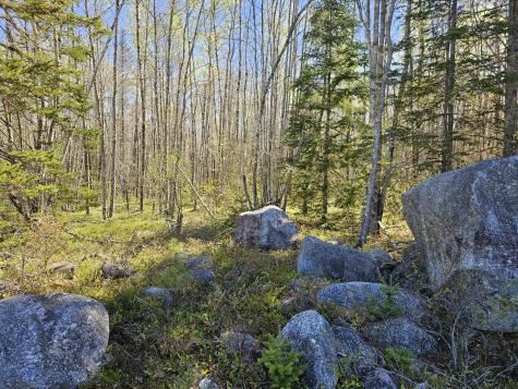 0 Georges Pond Road Franklin ME 04634