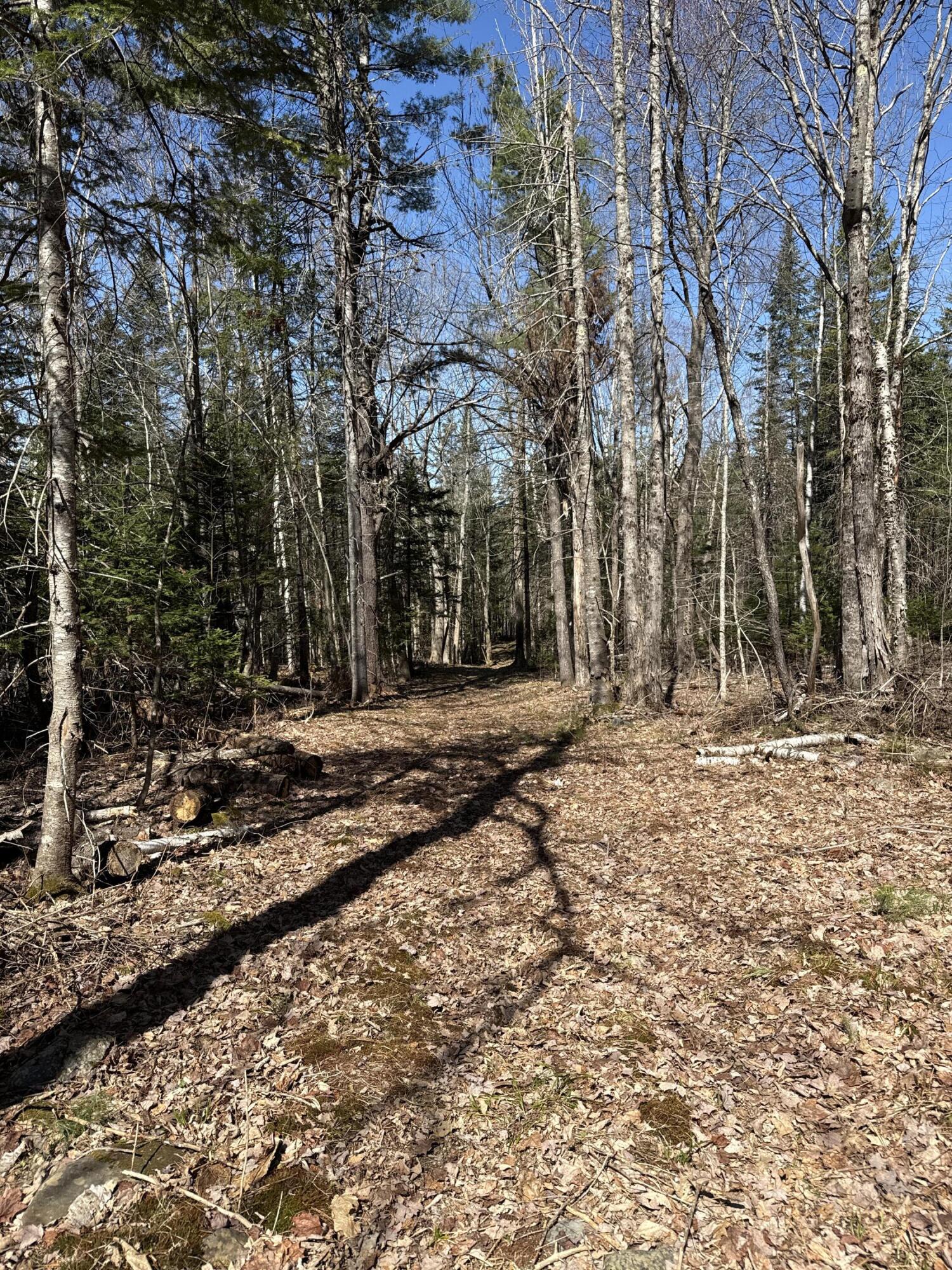 Lot 016-2 142 Old Fisher Rd Road Holden ME 04429