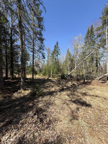 Lot 016-2 142 Old Fisher Rd Road Holden ME 04429
