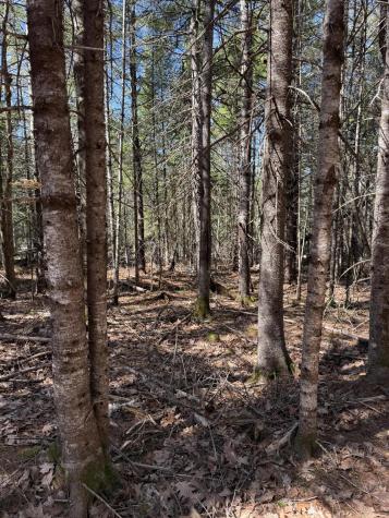 Lot 016-2 142 Old Fisher Rd Road Holden ME 04429