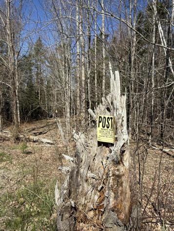 Lot 016-2 142 Old Fisher Rd Road Holden ME 04429