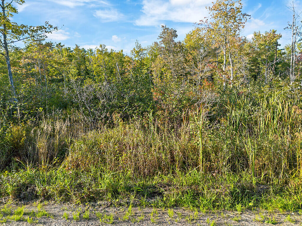 Map 19 Lot 7, Devine Road Whitefield ME 04341