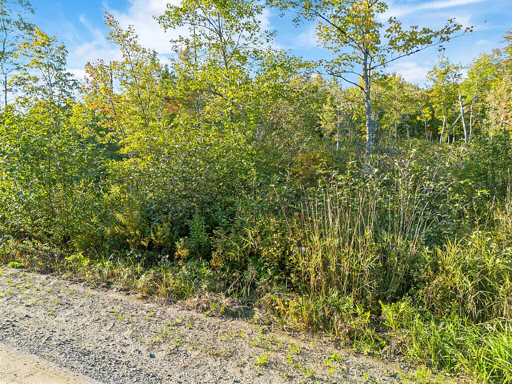 Map 19 Lot 7, Devine Road Whitefield ME 04341