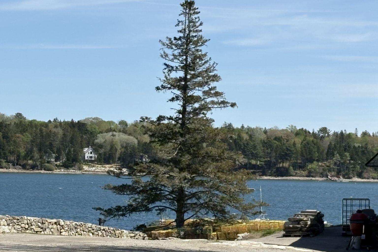 Lot 116010 Martin Point Road Friendship ME 04547