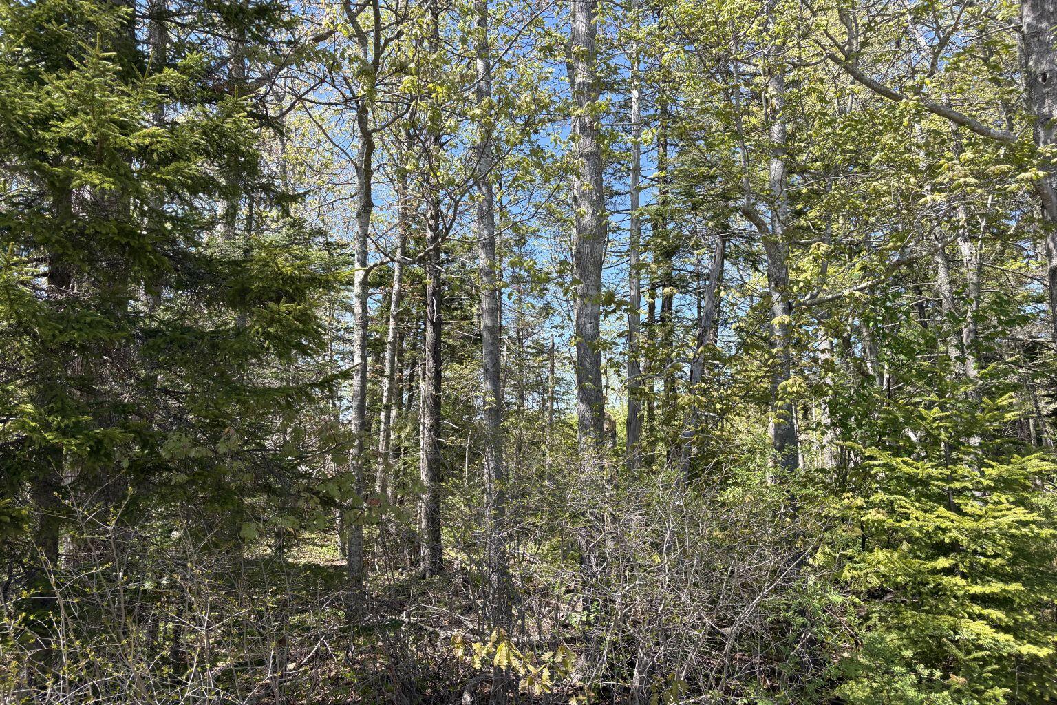 Lot 116010 Martin Point Road Friendship ME 04547