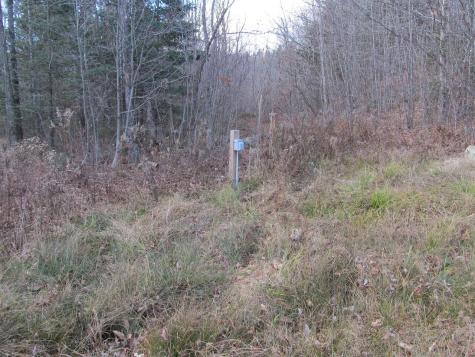 0 Cherry Hill Road Perkins Twp ME 04294