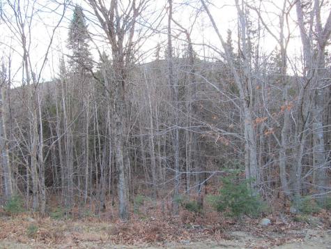 0 Cherry Hill Road Perkins Twp ME 04294