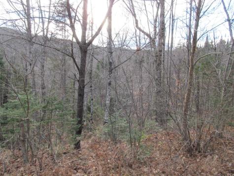 0 Cherry Hill Road Perkins Twp ME 04294