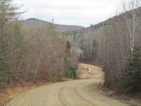 0 Cherry Hill Road Perkins Twp ME 04294