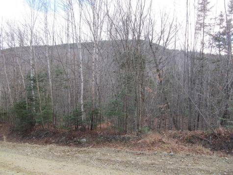 0 Cherry Hill Road Perkins Twp ME 04294