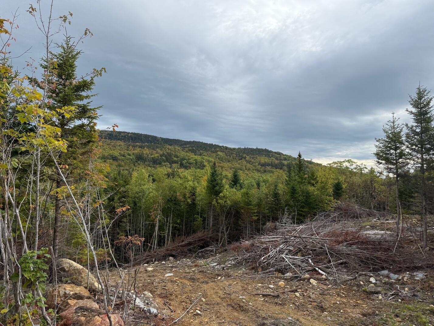 28 Adrian's Way Kingfield ME 04947