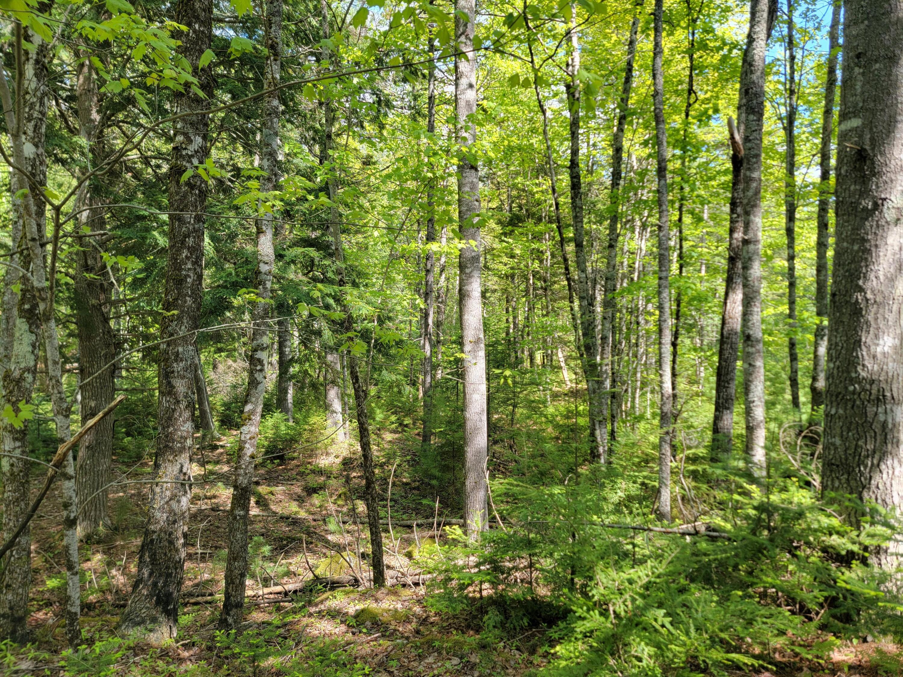 00 W Appleton Road Appleton ME 04862