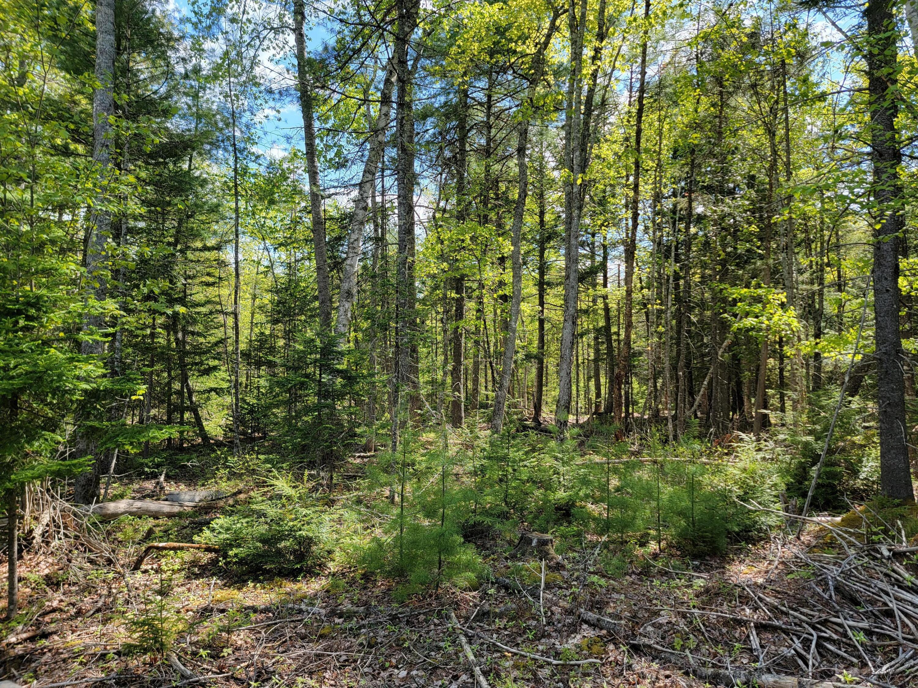 00 W Appleton Road Appleton ME 04862