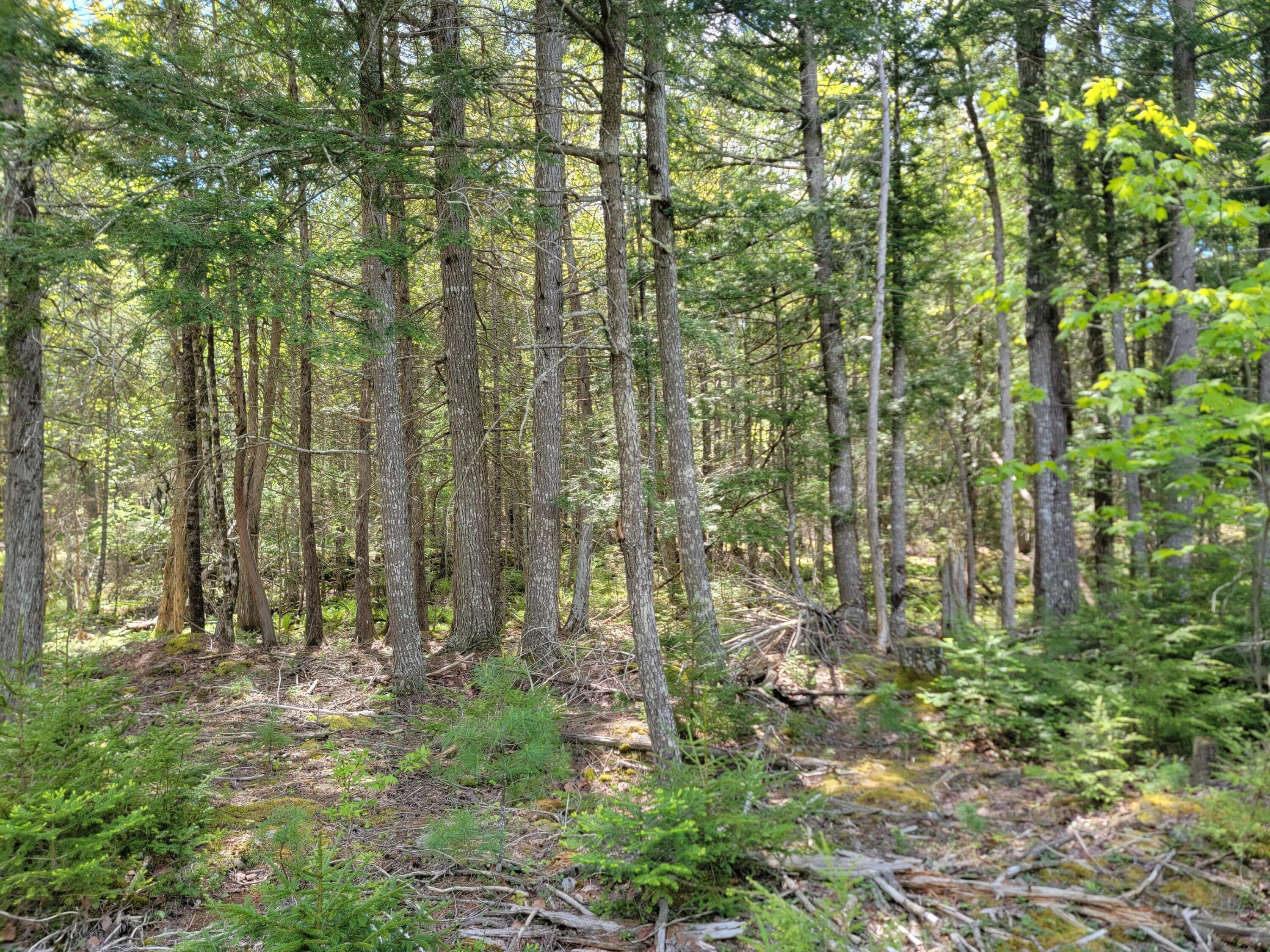 00 W Appleton Road Appleton ME 04862