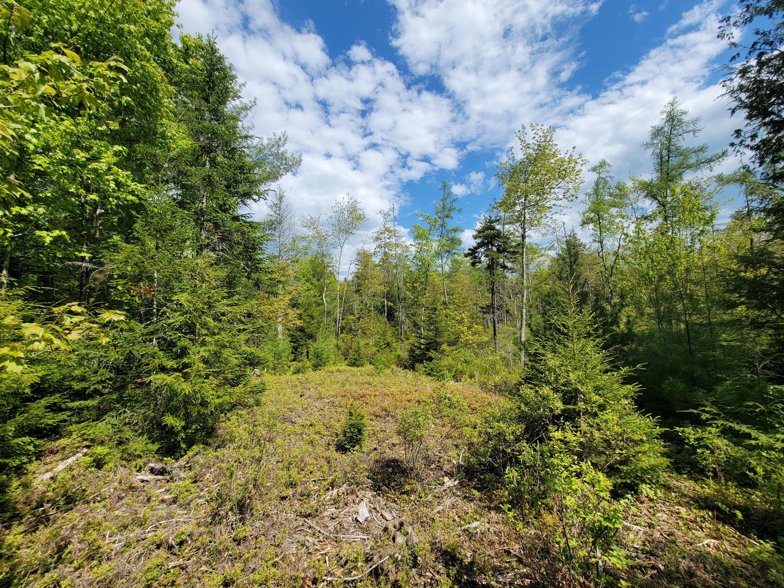 00 W Appleton Road Appleton ME 04862